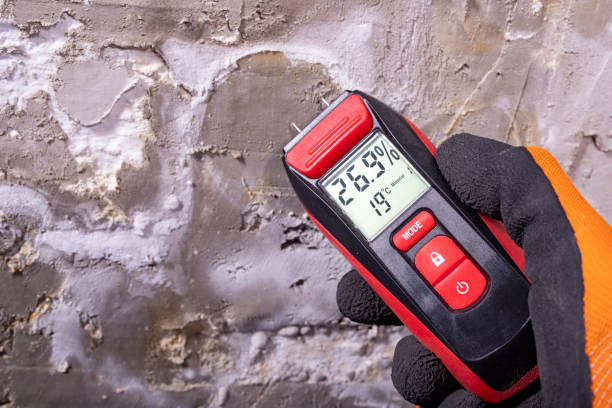 Best Office Mold Removal Services  in Fort Irwin, CA