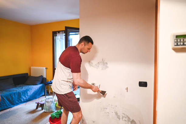 Best Best Mold Removal Companies  in Fort Irwin, CA